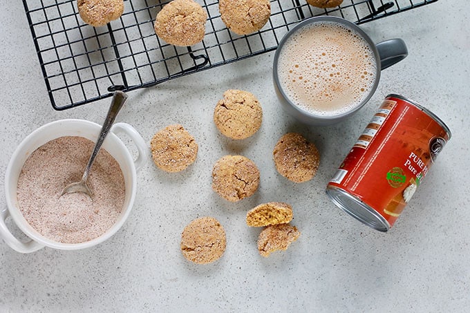 Pumpkin snickerdoodles on a grey background